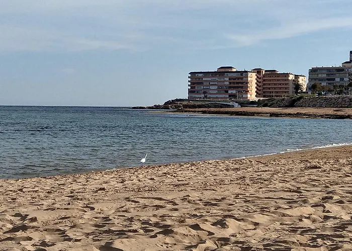 Ferienwohnung * Torrevieja