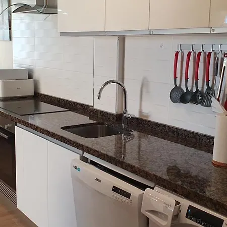公寓 Ferienwohnung 托雷维耶哈