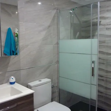 公寓 Ferienwohnung 托雷维耶哈
